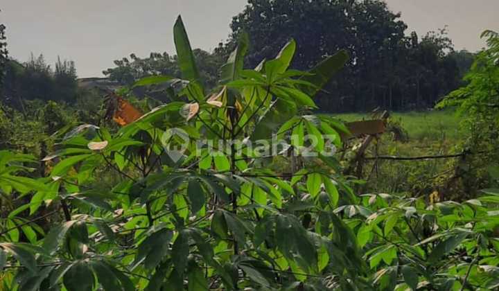 Land in Pamulang with SHM, South Tangerang