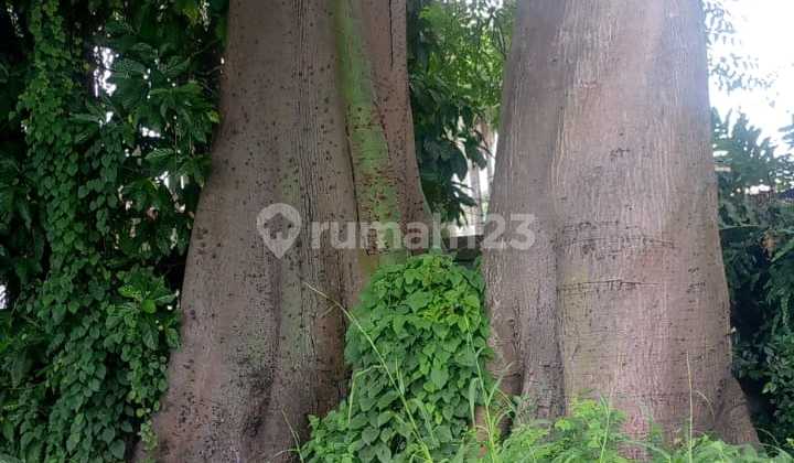 Industrial Zone Land in Pasar Kemis Tangerang