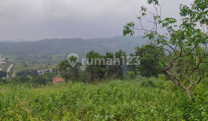 Land in Citeureup Bogor Near Telaga Hijau Land in Citeureup Bogor Near Telaga Hijau