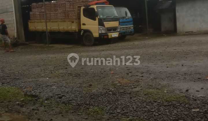 Productive Large-Scale Egg Chicken Farm in Rumpin Bogor