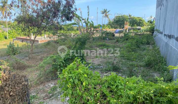 Tanah Murah 2.33 Are Dekat Dengan Pantai Wisata Di Bali