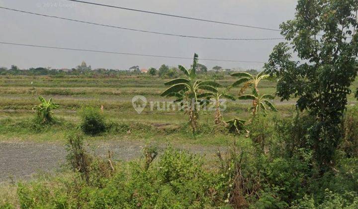 Tanah Desa Kemangi Gresik Jalan Raya Bungah-Daendles 1