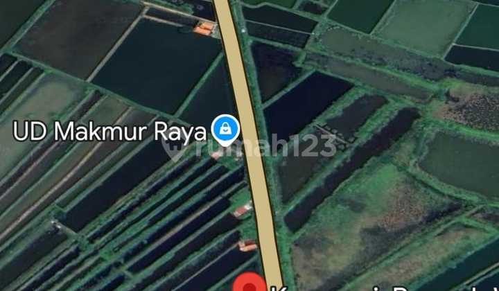 Tanah Desa Kemangi Gresik Jalan Raya Bungah-Daendles 2