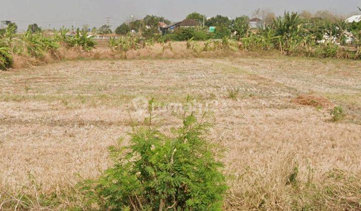 Tanah Luas 3900m2 Lokasi Bagus Kawasan Citraland Kedamean Gresik 1