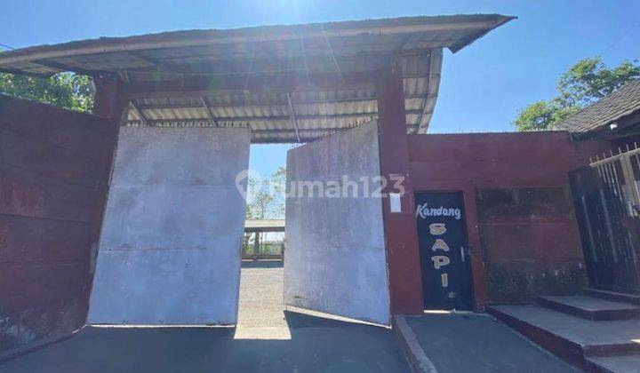Kandang Sapi SHM Lokasi Strategis di Garut Kota 2