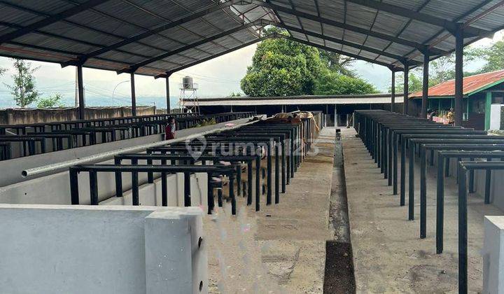 Kandang Sapi SHM Lokasi Strategis di Garut Kota 1