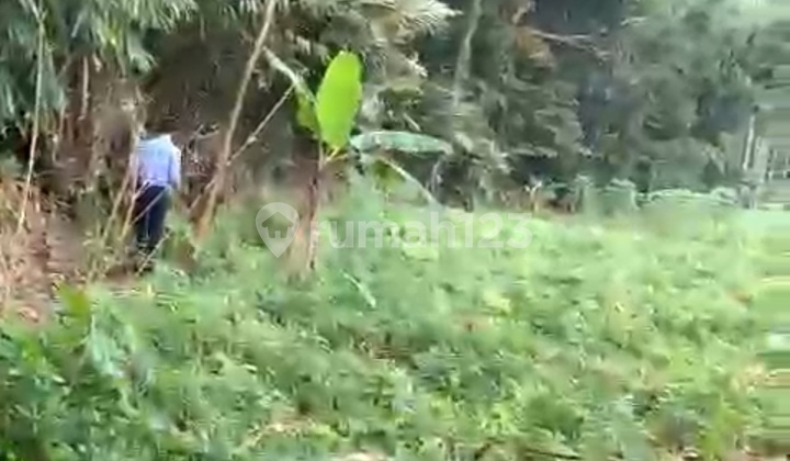 Tanah Shm 5.355 M² Di Caringin Ada Mata Air Deket Tol Bocimi