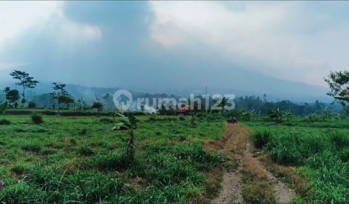 Tanah Shm 40.0 Ha Bisa Di Buat Pabrik Atau Perumahan Tanah Shm 40.0 Ha Bisa Di Buat Pabrik Atau Perumahan