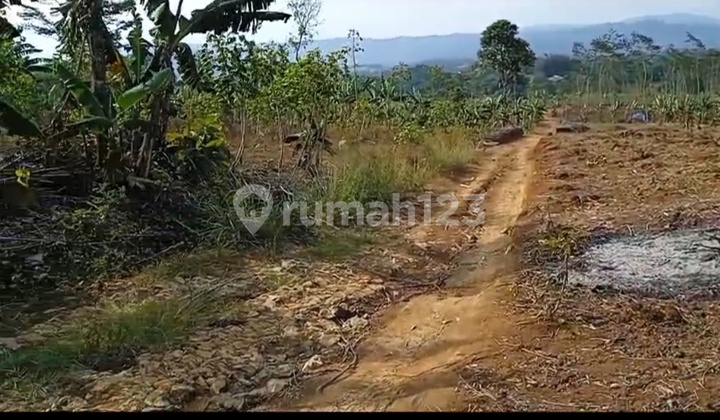 Tanah Strategis Datar Bisa Utk Di Buatkan Pabrik Krn Berada Di Kawasan Pabrik