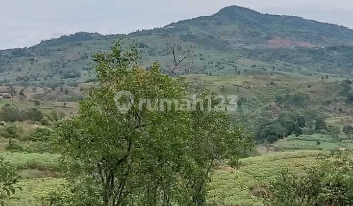 Tanah Dikavlingkan Puncak Bukit Hambalang Dekat Sentul City