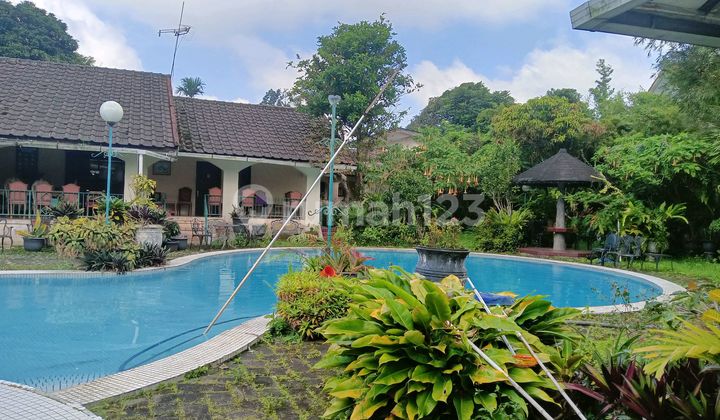 House Needs Minimal Renovation SHM Villa Colibah Puncak Cipanas House Needs Minimal Renovation SHM Villa Colibah Puncak Cipanas