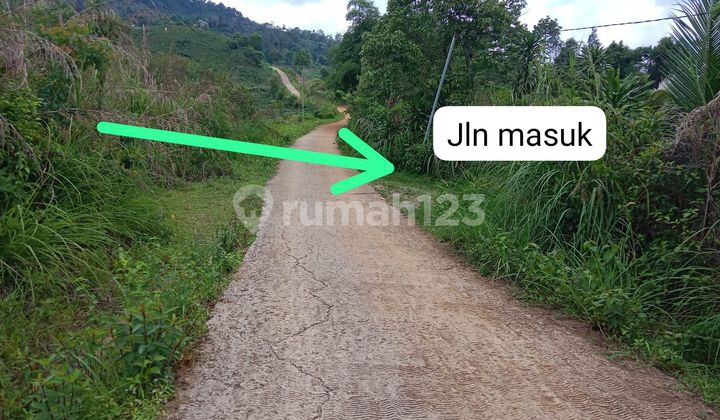 Tanah Strategis Cocok Utk Peternakan atau Perkebunan Tanah Strategis Cocok Utk Peternakan atau Perkebunan