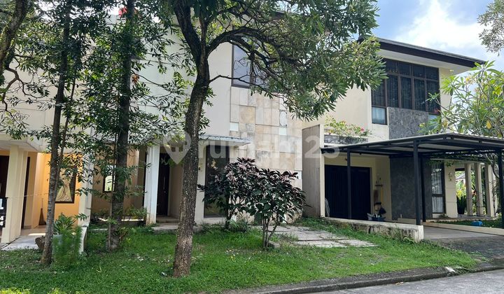 Strategic view of the mountain and a pristine environment. 2