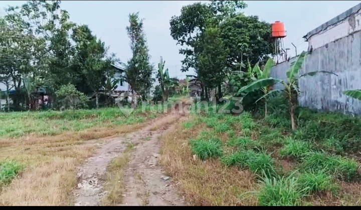 Tanah Shm 40.0 Ha Di Cigombong Bogor Dekat Tol Bocimi Tanah Shm 40.0 Ha Di Cigombong Bogor Dekat Tol Bocimi