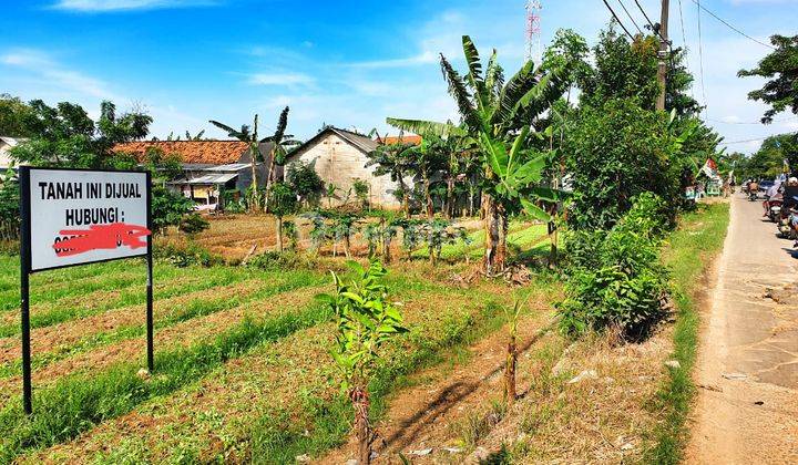 Tanah Strategis Di Jalan Pasar Babelan Bekasi Barat