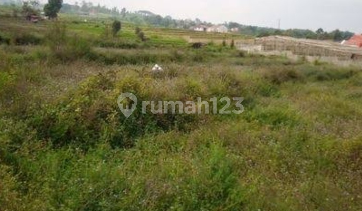 Jual Tanah Golf View Citraland Kota Surabaya