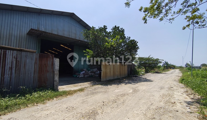 Cheap. Warehouse for sale on Jl. Raya Domas, Putat Lor, Jl. Raya Domas, Boteng, Menganti, Gresik, East Java, Indonesia, 61174, Menganti SHM.