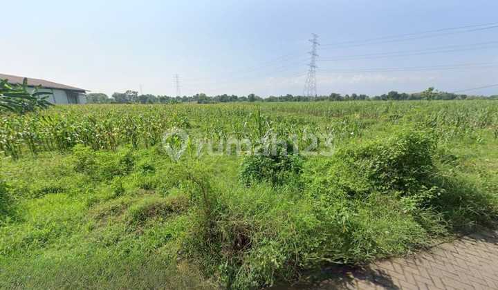 Industrial Land for Sale 8.5ha in Strategic Pasuruan Industrial Area 550k/m² Industrial Land for Sale 8.5ha in Strategic Pasuruan Industrial Area 550k/m²