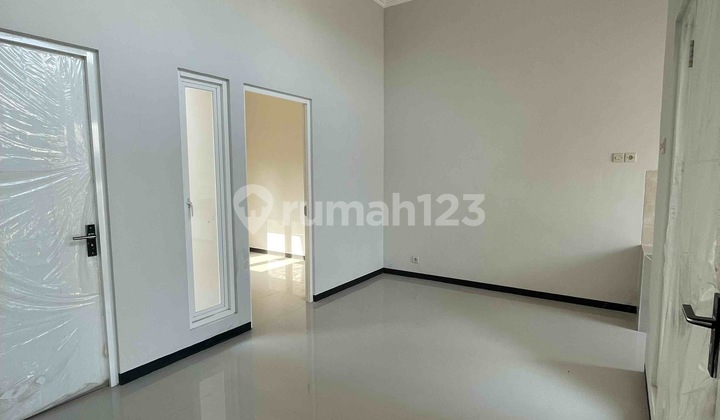 Alana Cemandi Sedati 2