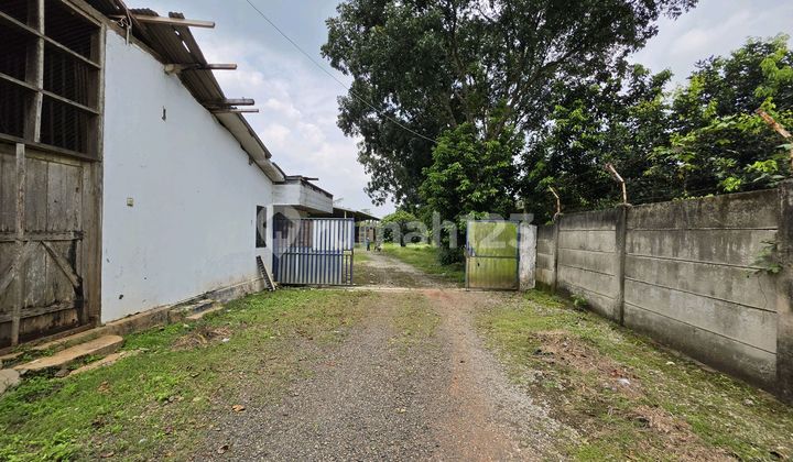 Dijual Cepat : Tanah Strategis Pinggir Jalan Raya Provinsi di Subang/ Purwodadi