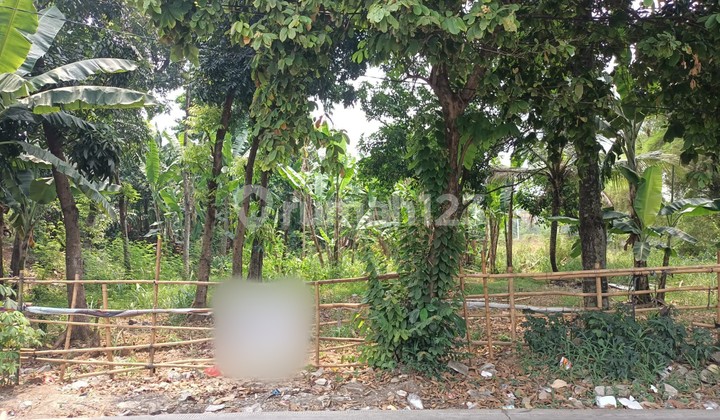 Kavling Luas Di Sarua Ciputat Tangsel Dekat Gerbang Tol Serpong Kavling Luas Di Sarua Ciputat Tangsel Dekat Gerbang Tol Serpong