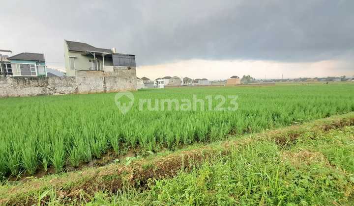 Tanah Sawah Luas 3960 Meter Persegi Lokasi Dekat Jalan Utama & Kawasan Bisnis di Kota Magelang