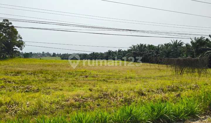 Strategic Land on the Trans-Sumatra Highway Way Urang, Kalianda.