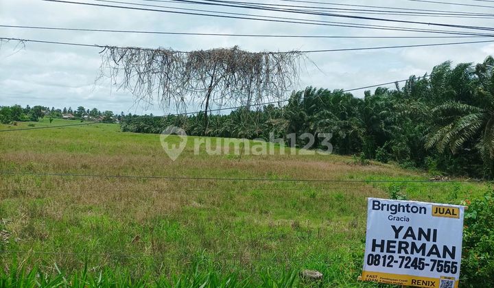 Strategic Land on the Trans-Sumatra Highway Way Urang, Kalianda.