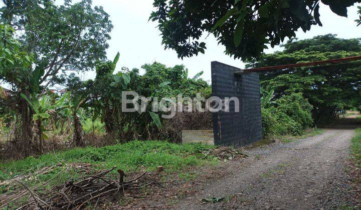 Jual Tanah strategis +/- 4000 m2 Di Kedamaian Bandar Lampung 2