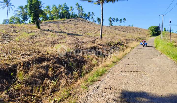 Tanah Strategis 8 Ha,Shm di Desa Hatta Kalianda Lampung Tanah Strategis 8 Ha,Shm di Desa Hatta Kalianda Lampung