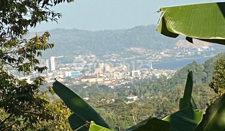 Tanah dan Kebun Durian Batu Putuk 2,4 Ha View Laut dan Kota Bandar Lampung
