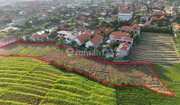 Disewakan Tanah 6325m2 di Batubolong, Canggu 2