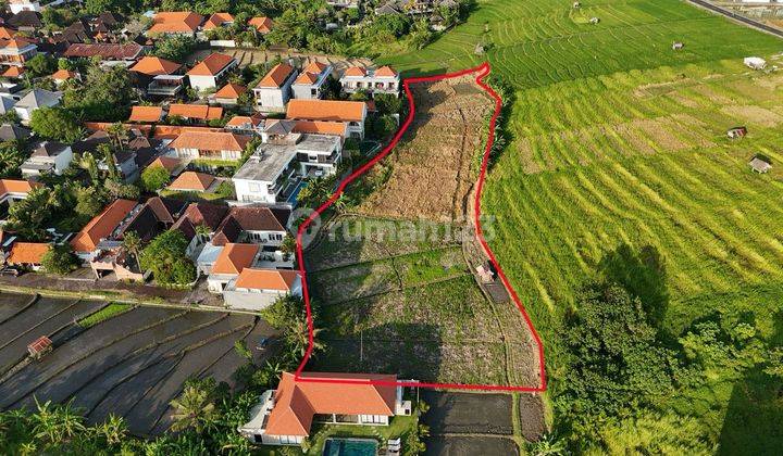 Disewakan Tanah 6325m2 di Batubolong, Canggu 1