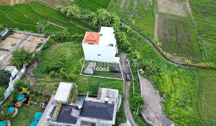 Tanah 160m2 SHM di Canggu 1