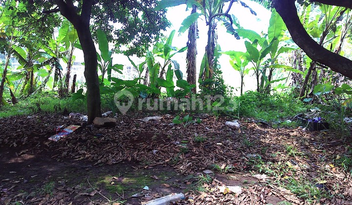Land for Sale in Curug-Gunung Sindur-Bogo