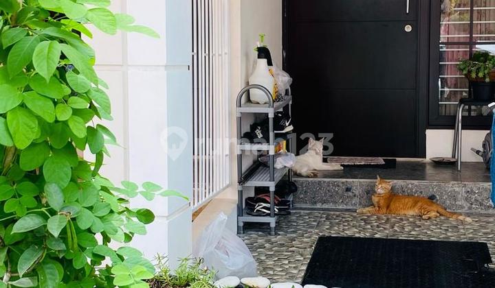 Rumah Di Perumahan Green Village, Siap Huni