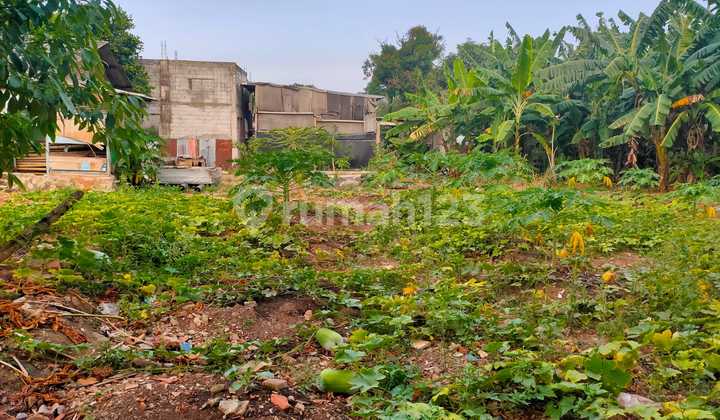 Investasi Kavling Ngantong Pinggir Jalan Raya Gatot Subroto – Lokasi Emas! Investasi Kavling Ngantong Pinggir Jalan Raya Gatot Subroto – Lokasi Emas!