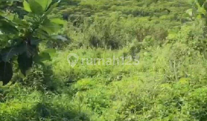 Kavling sentul Lokasi Strategis Dekat Tol Jagorawi