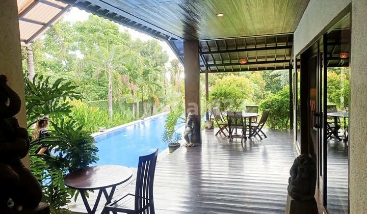 Lahan Dekat Pantai Di Pererenan Badung Bali Lahan Dekat Pantai Di Pererenan Badung Bali