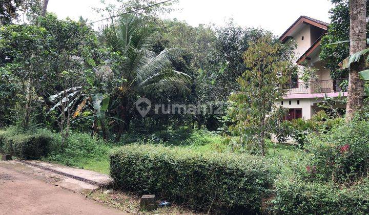 Rumah Modern Minimalis 2 lantai di Salatiga dengan Kebun Pribadi 2