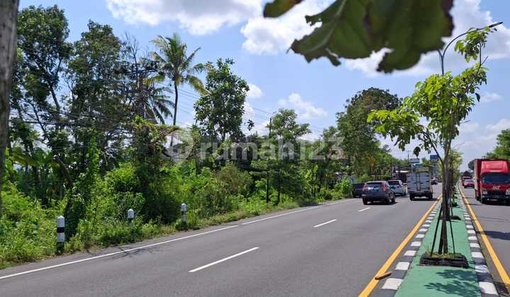 Tanah Pekarangan Luas 2023 Meter Persegi Dekat Exit Tol Klaten Tanah Pekarangan Luas 2023 Meter Persegi Dekat Exit Tol Klaten