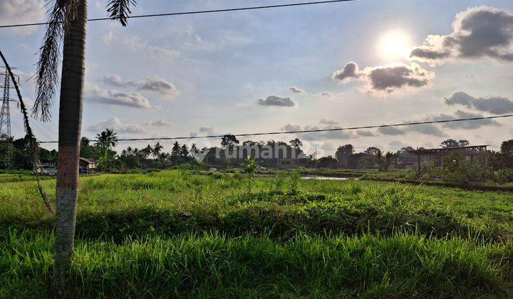 Tanah Luas 774 Meter Persegi Lokasi Krandon Wedomartani Sleman  1