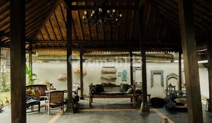 Luxury House With Swimming Pool Location Near Maguwoharjo Stadium Depok Sleman 2