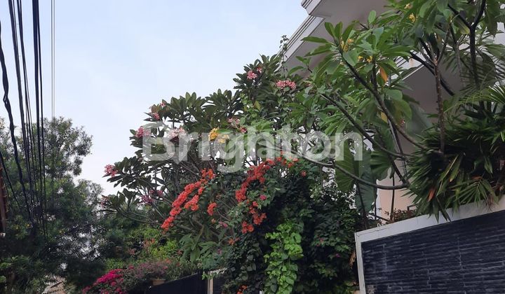 RUMAH KEMANGGISAN JAKARTA BARAT