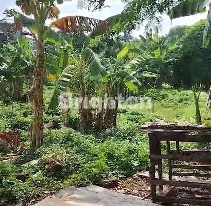 TANAH JAKARTA SELATAN