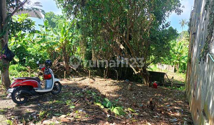 Dijual Tanah Lokasi Selingsing Munggu Badung Dekat ke Canggu