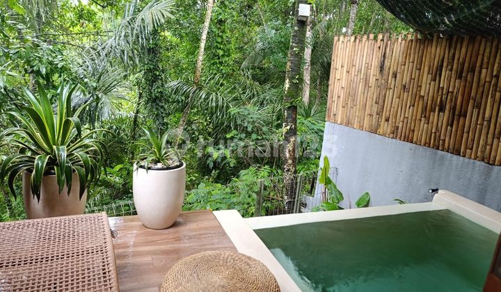 Bamboo Villa For Sale In Tegalalang, Ubud, Bali Bamboo Villa For Sale In Tegalalang, Ubud, Bali