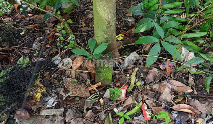 Dijual Tanah Los Sungai Di Lokasi Selingsing Cepaka Dekat Munggu 