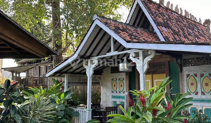 Di Jual Murah Tanah + Bangunan Villa di Canggu