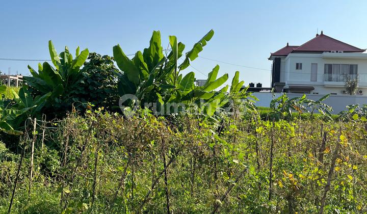 Dijual Tanah Super Buc 200 Meter Dari Pantai Kedungu